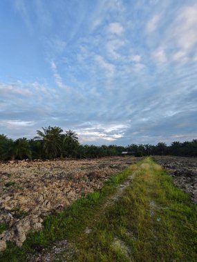Aydınlık sabah mavi gökyüzü boş topraklarda. 