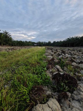 Aydınlık sabah mavi gökyüzü boş topraklarda. 