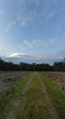 Aydınlık sabah mavi gökyüzü boş topraklarda. 