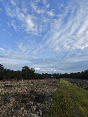 Aydınlık sabah mavi gökyüzü boş topraklarda. 