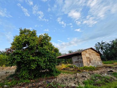 Aydınlık sabah mavi gökyüzü boş topraklarda. 