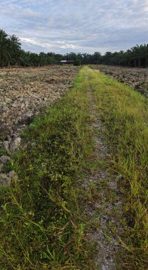 Aydınlık sabah mavi gökyüzü boş topraklarda. 