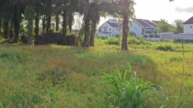 Güzel bulutlu sabah mavi gökyüzüne bakıyorum..