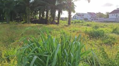 Güzel bulutlu sabah mavi gökyüzüne bakıyorum..