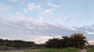 Yeni bir günün şafağında yukarılara bakıyorum.. 
