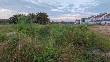 Yeni bir günün şafağında yukarılara bakıyorum.. 