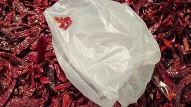 Çeşitli boyutlarda taze kurutulmuş biber yığını..