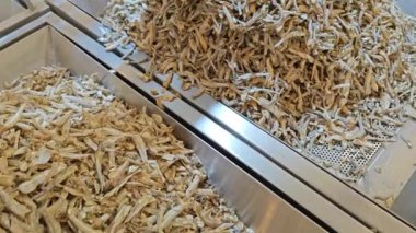 Çeşitli boyutlarda taze kurutulmuş ançüez yığını..