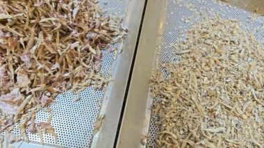 Çeşitli boyutlarda taze kurutulmuş ançüez yığını..