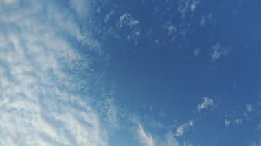 Yeni bir günün şafağında ağacın tepesine bakıyorum..        