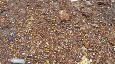 Yere atılmış paslanmış ve çürümüş şişe kapakları..  