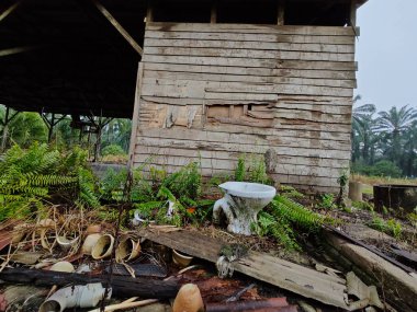 Harap olmuş ahşap evin etrafındaki görüntüler tarım arazisine giden yolda terk edilmiş bir barakaya dönüştü..