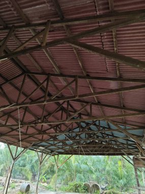 Harap olmuş ahşap evin etrafındaki görüntüler tarım arazisine giden yolda terk edilmiş bir barakaya dönüştü..