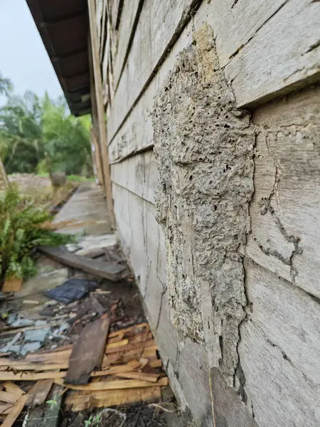 Harap olmuş ahşap evin etrafındaki görüntüler tarım arazisine giden yolda terk edilmiş bir barakaya dönüştü..