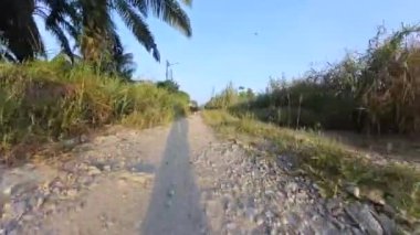 Sahipsiz topraklarda başıboş köpeklerle alçıpan boyunca yürüme hareketi. 