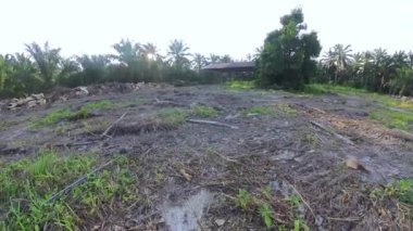 Gündüz vakti aydınlık gökyüzünün hızlandırılmış görüntüsü.        