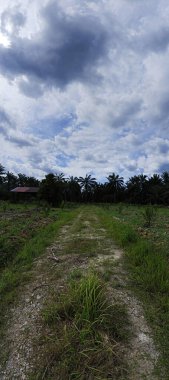 Harap olmuş ahşap kulübenin etrafındaki kasvetli gökyüzü.
