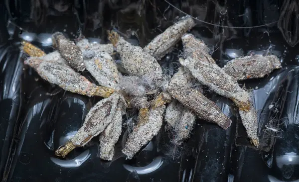 stock image close shot of the bundle of plaster bagworm nestle. 