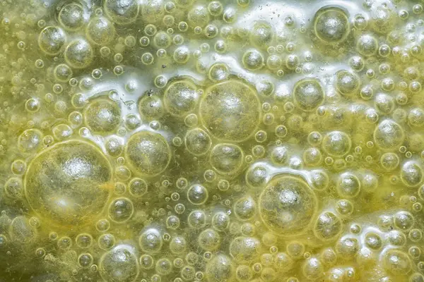 stock image Green bubbles slimy algae floating on the surface of the water  