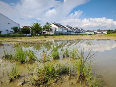 Durgun yağmur suyu havuzunda yansıtıcı gündüz mavi gökyüzü bulutu.