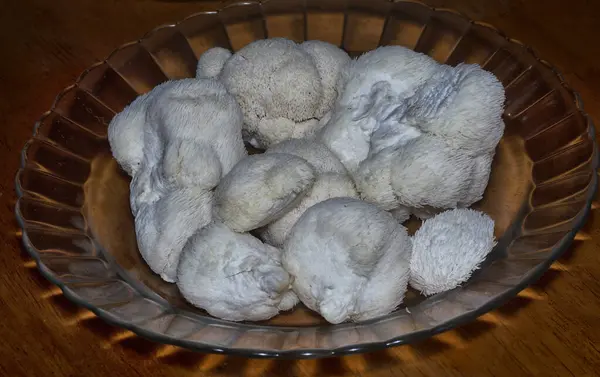 stock image close shot of the white colored lion's mane mushroom.