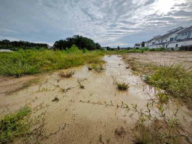 the residential vicinity with an outdoor swampy puddle. clipart