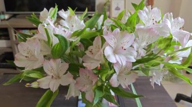 Beyaz alstroemeria aurantiaca çiçeği kapalı kapta..