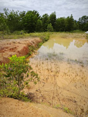Ormanların tahrip edilmesi ve toprak madenciliği nedeniyle terk edilmiş boş arazinin çevresinde dramatik bir manzara var.. 