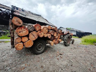 Kömür fabrikasının dışındaki açık arazinin çevresindeki çevre manzarası.   