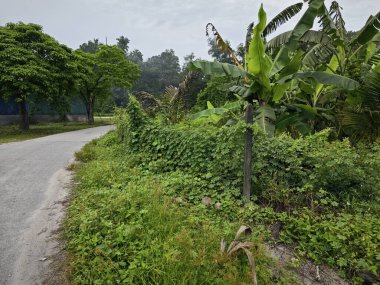 environment scene around the vicinity of opened field outside the old charcoal factory shed.    clipart