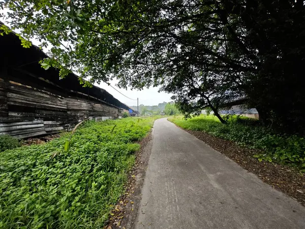 stock image environment scene around the vicinity of opened field outside the old charcoal factory shed.   