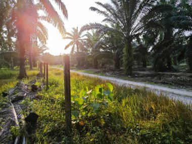 Kırsal kesimlere giden parlak çakıl yolu manzarası.. 