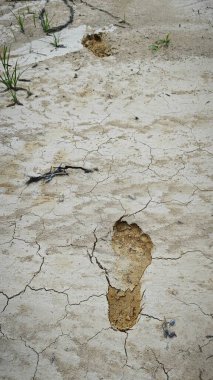 human footprint on the dried muddy ground. clipart