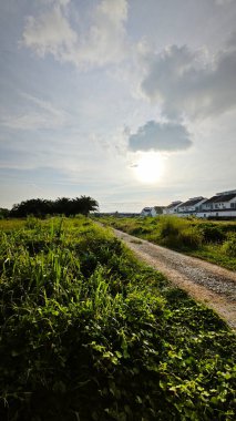 Konut evlerine giden kırsal yol manzarası. 