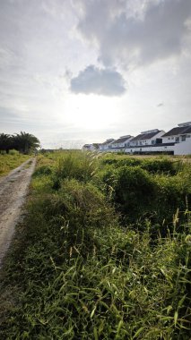 Konut evlerine giden kırsal yol manzarası. 