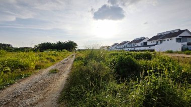 Konut evlerine giden kırsal yol manzarası. 