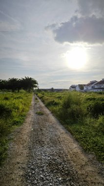 Konut evlerine giden kırsal yol manzarası. 