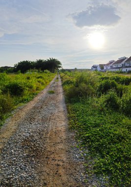 Konut evlerine giden kırsal yol manzarası. 