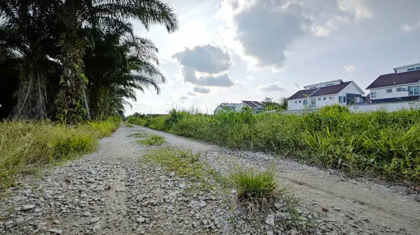Konut evlerine giden kırsal yol manzarası. 