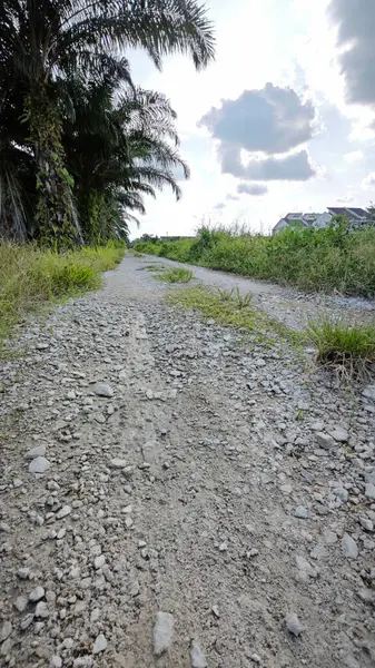 Konut evlerine giden kırsal yol manzarası. 