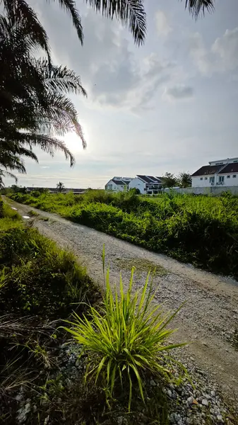 Konut evlerine giden kırsal yol manzarası. 
