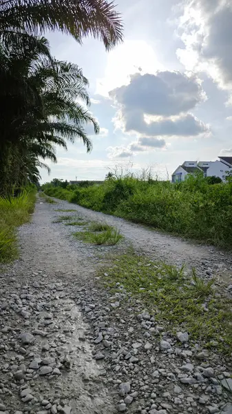 Konut evlerine giden kırsal yol manzarası. 