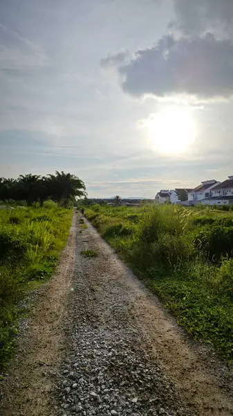 Konut evlerine giden kırsal yol manzarası. 