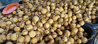 Kocaman taze Lansium evcilleştirilmiş Asyalı meyveler..