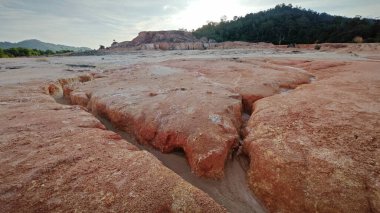 Ormanların tahrip edilmesi ve toprak madenciliği nedeniyle terk edilmiş boş arazinin çevresindeki panoramik manzara.