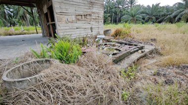 Tarım arazisindeki eski barakanın dışına çöpleri atmışlar..