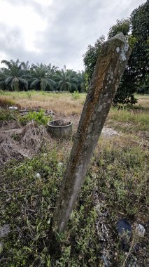 Tarım arazisindeki eski barakanın dışına çöpleri atmışlar..