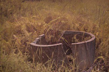 Kızılötesi manzara açık hava plantasyonunda aşırı gelişmiş çalılıklar.