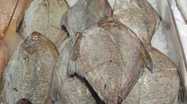 Satılık siyah Pomfret balıkları tepside.  