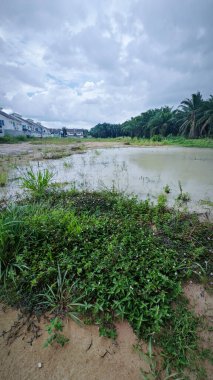 the residential vicinity with an outdoor huge puddle and a gloomy weather. clipart